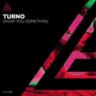 Show You Something track artwork