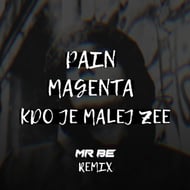 Kdo Je Malej Zee - Mr BE Remix track artwork