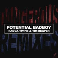 Dangerous Is Dangerous - Remix - Instrumental track artwork