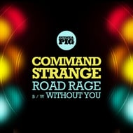 Without You track artwork