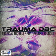 Phat Phunk track artwork