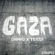 Gaza - Zed Bias Remix track artwork
