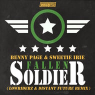 Fallen Soldier - Lowriderz & Distant Future Remix track artwork