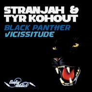 Vicissitude track artwork