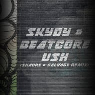 Ush - Shadre, Salvage Remix track artwork