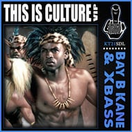 This Is Culture VIP - VIP track artwork