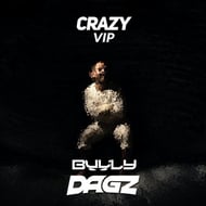 Crazy (VIP) track artwork
