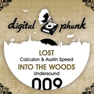 Into The Woods track artwork