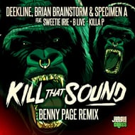 Kill That Sound - Benny Page Remix - Edit track artwork