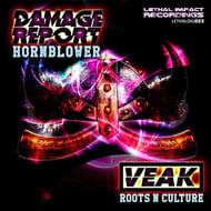 Roots N Culture track artwork