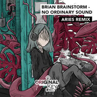 No Ordinary Sound - Aries Remix track artwork