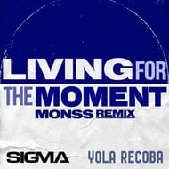 Living For The Moment - MONSS Remix track artwork
