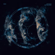Diplodocus - Skeptical Remix track artwork