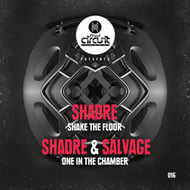 Shake The Floor track artwork
