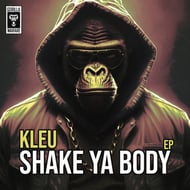 I'm Still in Love - Kleu VIP Remix track artwork