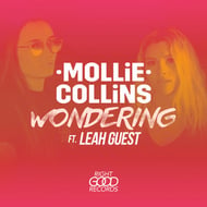 Wondering track artwork