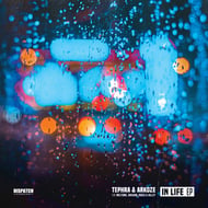 Perceptions track artwork