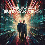 Triumph - Burr Oak Remix track artwork