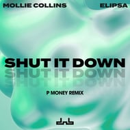 Shut It Down - P Money Remix track artwork