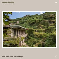 Final View From The Rooftops track artwork