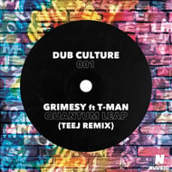 Quantum Leap - Teej Remix track artwork