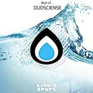 Lonely Times - Duoscience Remix track artwork