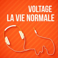 La Vie Normale track artwork