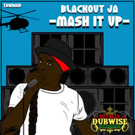 Mash It Up - Subtifuge Rubadub Mix track artwork