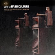 In The Vip track artwork