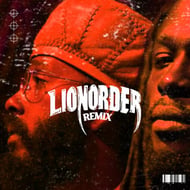 LionOrder - Remix track artwork