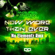 Now More Than Ever Remix track artwork