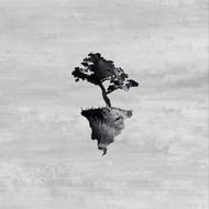 Stockholm Syndrome track artwork