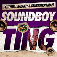 Soundboy Ting - VIP Dub track artwork
