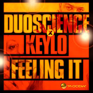 Feeling It - Dub track artwork