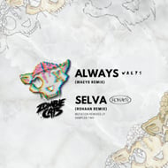 Selva - Rohaan Remix track artwork