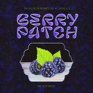 Berry Patch - Halogenix Remix track artwork