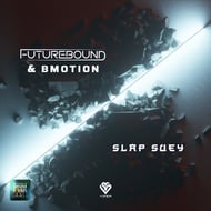 Slap Suey track artwork