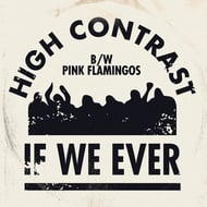 Pink Flamingos track artwork