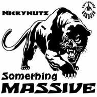 Dusk Fragments - Nickynutz 2017 Remix track artwork