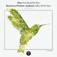 Valley Of The Stars track artwork