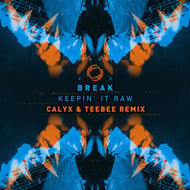 Keepin It Raw - Calyx & Teebee Remix track artwork
