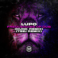 Frequencies Of Dub - Teej Remix track artwork