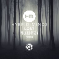 Lost - Pola & Bryson Remix track artwork