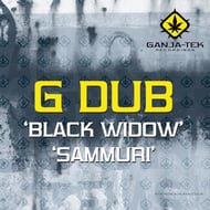 Sammurai track artwork