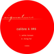living for track artwork