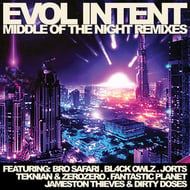 Middle Of The Night - Teknian & ZeroZero Remix track artwork