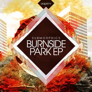 Burning Love - Lenzman Remix track artwork