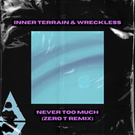 Never Too Much - Zero T Remix track artwork