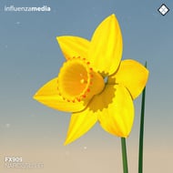Narcissus track artwork