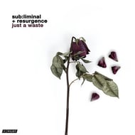 Just A Waste track artwork